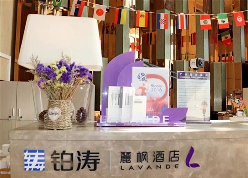 麗枫酒店（广州高铁南站石壁地铁站店4