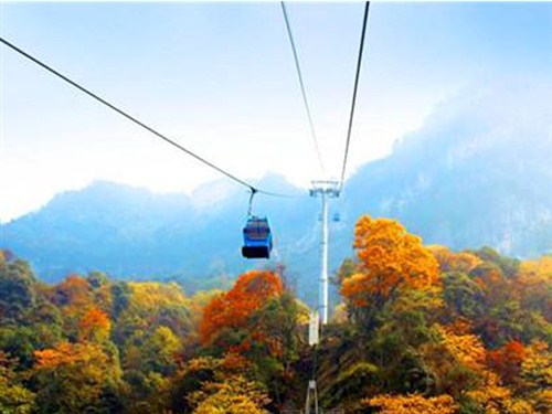 金佛山索道