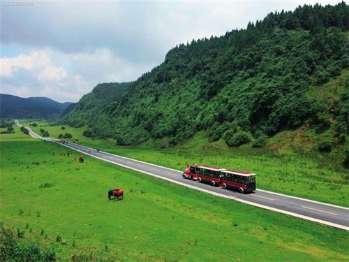 仙女山国家森林公园