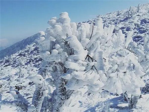 云冰山景区