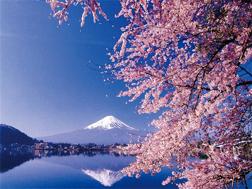 富士山五合目2