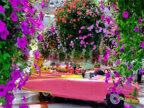 中国首届郁金香花博秀1