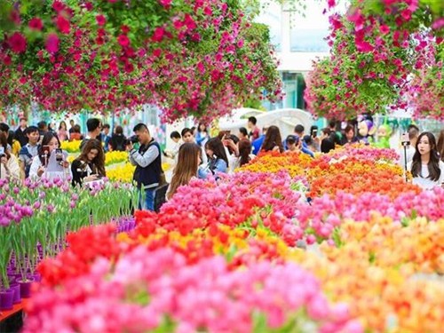 中国首届郁金香花博秀3