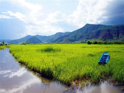 泸沽湖草海