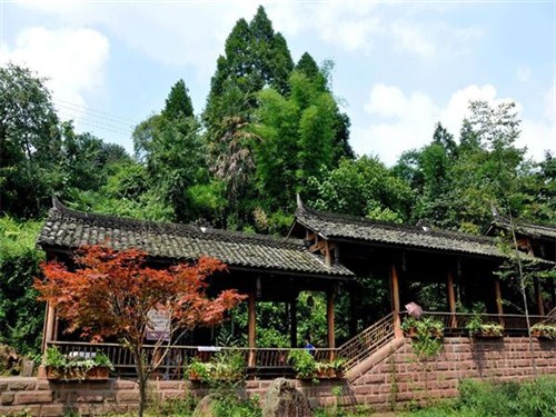 雅安1