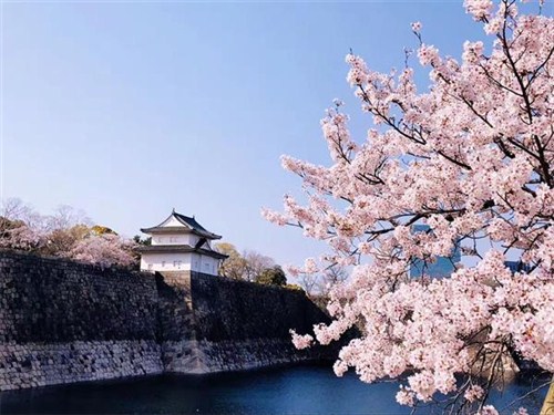 大阪城公园01