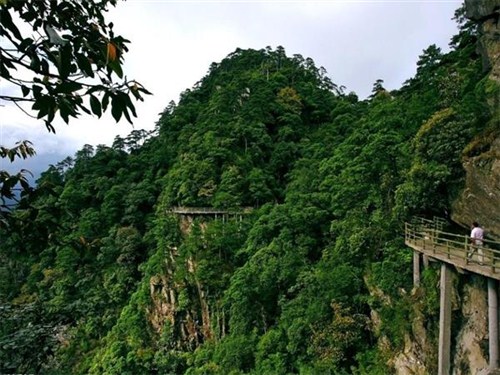 井冈山笔架山01