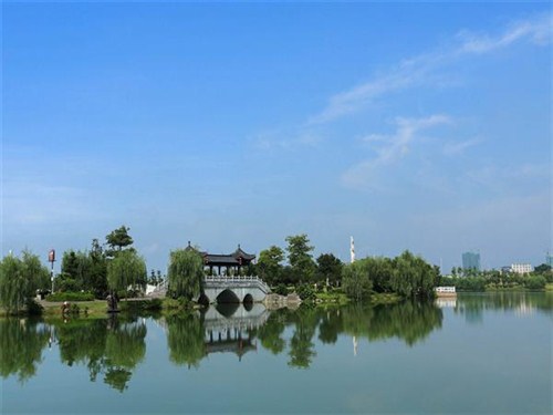 图片1