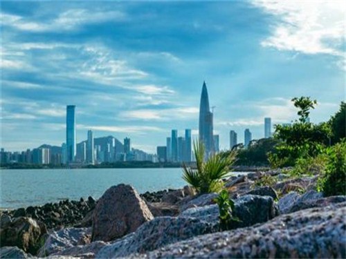 深圳湾公园1