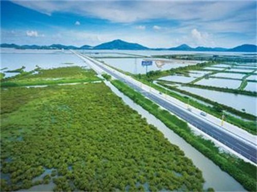 海陵大堤01