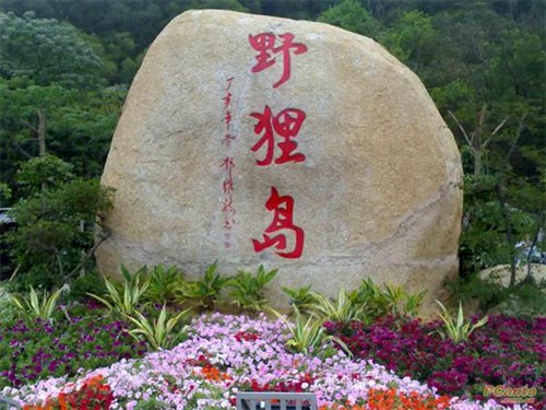 野狸岛