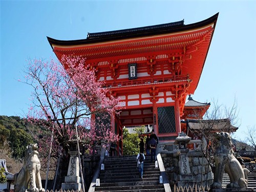 清水寺1