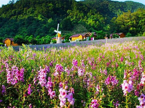 盘龙峡生态园区