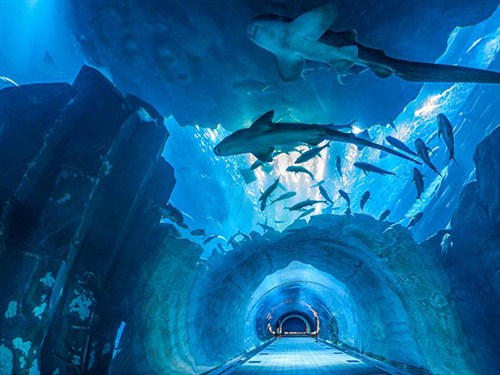 亚特兰蒂斯失落的空间水族馆1
