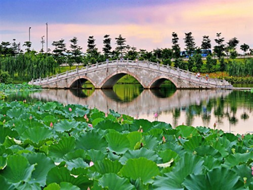 飞来湖公园001