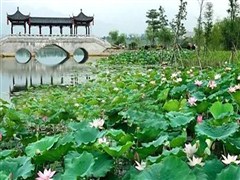 飞来湖公园