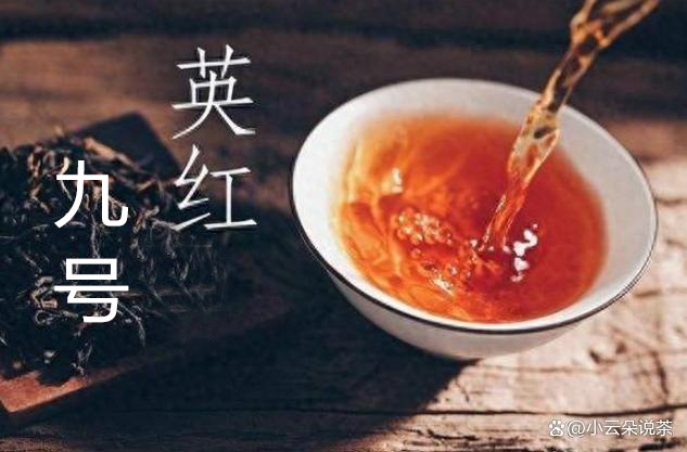 广东特级英德红茶 英红九号