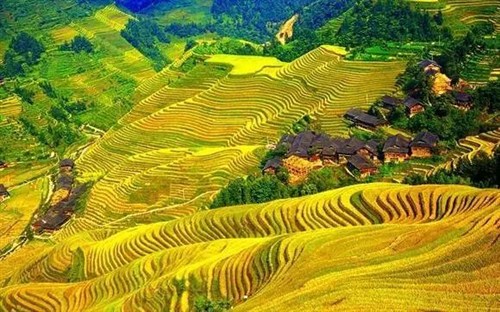 桂林龙脊梯田