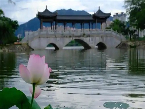 飞来湖公园004