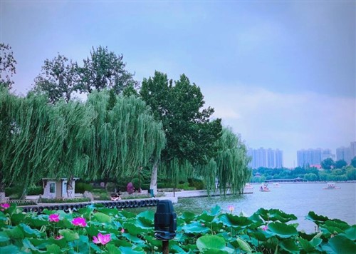 大明湖1