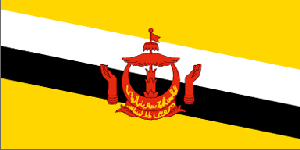 文莱签证办理